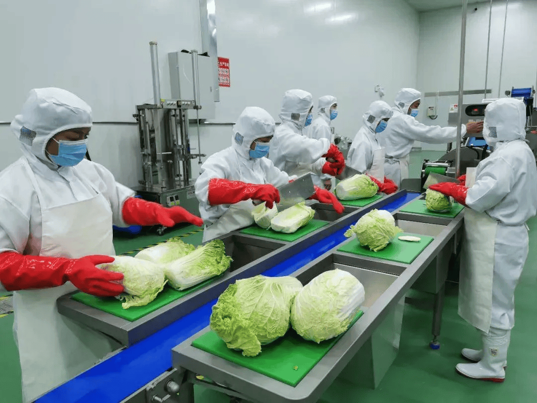 信息化助力校园食材安全，构建阳光放心采购体系