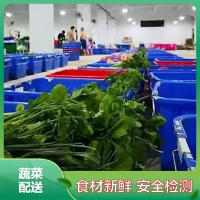 佛山饭堂食材配送服务 专业工厂食堂送菜与高效食材采购解决方案